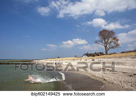 Stock Photography - Beach, Ahrenshoop, Baltic Sea, North Western Pomerania, Germany, Europe. Fotosearch