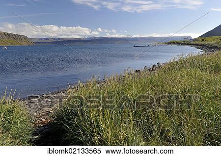 Beach, Hesteyri, Hesteyrarfjoerður or Joekulfirðir, Hornstrandir hiking paradise, Westfjords, Iceland, Europe View Large Photo Image Stock Photography - Beach, Hesteyri, Hesteyrarfjoerður or Joekulfirðir, Hornstrandir hiking paradise, Westfjords, Iceland, Europe. Fotosearch
