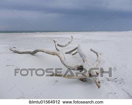 Beach of Dueodde, Bornholm, Denmark, Europe View Large Photo Image Stock Image - Beach of Dueodde, Bornholm, Denmark, Europe. Fotosearch