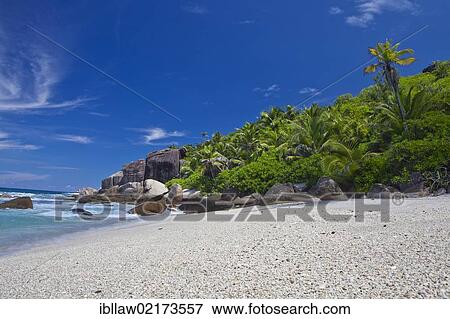 Stock Photo - Beach with palm trees, Anse Parnelle, Mahe, Seychelles, Africa, Indian Ocean, Africa. Fotosearch