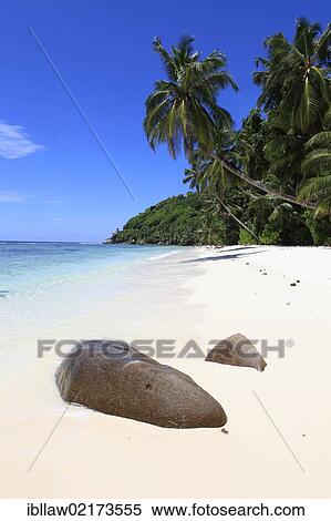 Beach with palm trees, Anse Parnelle, Mahe, Seychelles, Africa, Indian Ocean, Africa View Large Photo Image Stock Photography - Beach with palm trees, Anse Parnelle, Mahe, Seychelles, Africa, Indian Ocean, Africa. Fotosearch
