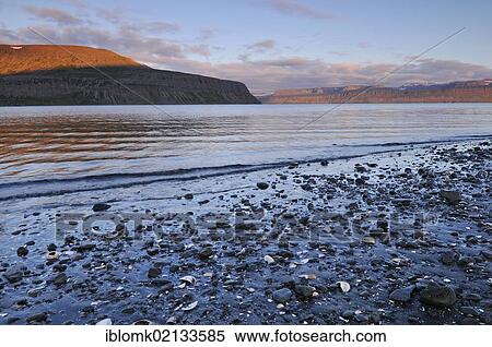 Beach with sea shells, mid-summer night, Hesteyri, Hesteyrarfjoerður or Joekulfirðir, Hornstrandir hiking paradise, Westfjords, Iceland, Europe View Large Photo Image Stock Photography - Beach with sea shells, mid-summer night, Hesteyri, Hesteyrarfjoerður or Joekulfirðir, Hornstrandir hiking paradise, Westfjords, Iceland, Europe. Fotosearch
