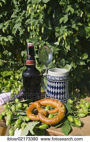 Beer mug or stein with the Bavarian diamond pattern, beer bottle and pretzel, in a hop garden, Mainburg, Hallertau, Bavaria, Germany, Europe View Large Photo Image Stock Image - Beer mug or stein with the Bavarian diamond pattern, beer bottle and pretzel, in a hop garden, Mainburg, Hallertau, Bavaria, Germany, Europe. Fotosearch