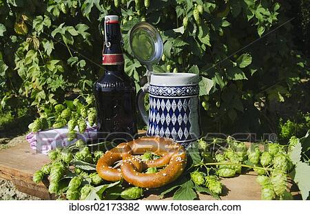Beer mug or stein with the Bavarian diamond pattern, beer bottle and pretzel, in a hop garden, Mainburg, Hallertau, Bavaria, Germany, Europe View Large Photo Image Stock Image - Beer mug or stein with the Bavarian diamond pattern, beer bottle and pretzel, in a hop garden, Mainburg, Hallertau, Bavaria, Germany, Europe. Fotosearch