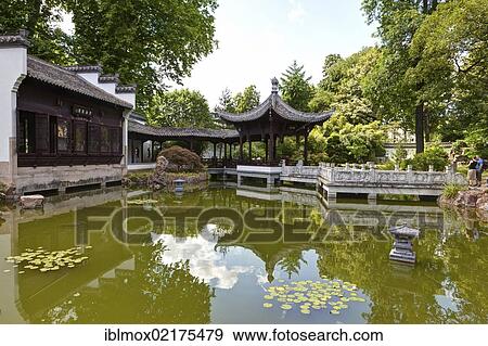 Stock Photo - Bethmann Park, Chinese Garden, Frankfurt am Main, Hesse, Germany, Europe. Fotosearch