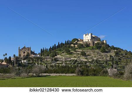 Blossoming almond trees in front of Arta on Majorca, Balearic Islands, Spain, Europe View Large Photo Image Stock Image - Blossoming almond trees in front of Arta on Majorca, Balearic Islands, Spain, Europe. Fotosearch