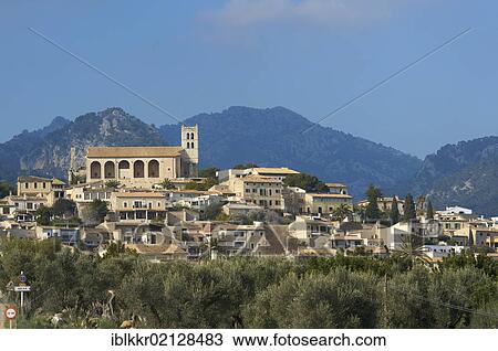 Blossoming almond trees near Selva, Tramuntana, Majorca, Balearic Islands, Spain, Europe View Large Photo Image Stock Image - Blossoming almond trees near Selva, Tramuntana, Majorca, Balearic Islands, Spain, Europe. Fotosearch