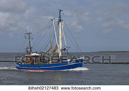 Blue crab fishing boat, NOR 225, returning to the port of Norddeich after fishing, Lower Saxon Wadden Sea, UNESCO World Heritage Site, Lower Saxony, Germany, Europe View Large Photo Image Stock Image - Blue crab fishing boat, NOR 225, returning to the port of Norddeich after fishing, Lower Saxon Wadden Sea, UNESCO World Heritage Site, Lower Saxony, Germany, Europe. Fotosearch