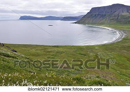 Bolungavík or Bolungarvik bay, east coast of Hornstrandir, Westfjords, Iceland, Europe View Large Photo Image Stock Image - Bolungavík or Bolungarvik bay, east coast of Hornstrandir, Westfjords, Iceland, Europe. Fotosearch