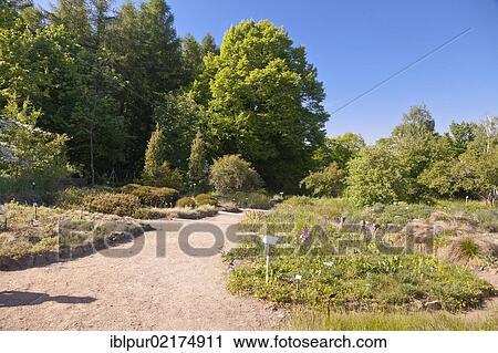 Botanical Garden of the Technical University of Dresden on Boselspitze Mountain, Coswig, Saxon Elbe, Saxony, Germany, Europe View Large Photo Image Stock Image - Botanical Garden of the Technical University of Dresden on Boselspitze Mountain, Coswig, Saxon Elbe, Saxony, Germany, Europe. Fotosearch
