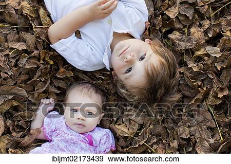 Boy, two and a half years, baby, 8 weeks, lying on leaves View Large Photo Image Stock Photo - Boy, two and a half years, baby, 8 weeks, lying on leaves. Fotosearch