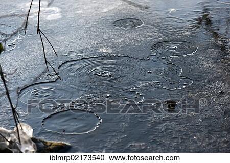 Stock Image - Bubbles, carbon dioxide escaping, mofette or mofettes, Laacher See, Laach Lake, Ahrweiler district, Eifel region, Rhineland-Palatinate, Germany, Europe. Fotosearch