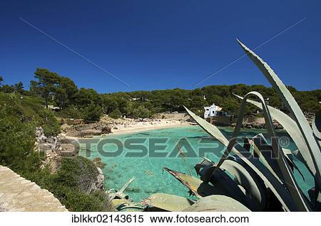 Cala Gat near Cala Ratjada, Majorca, Balearic Islands, Spain, Europe View Large Photo Image Stock Photography - Cala Gat near Cala Ratjada, Majorca, Balearic Islands, Spain, Europe. Fotosearch