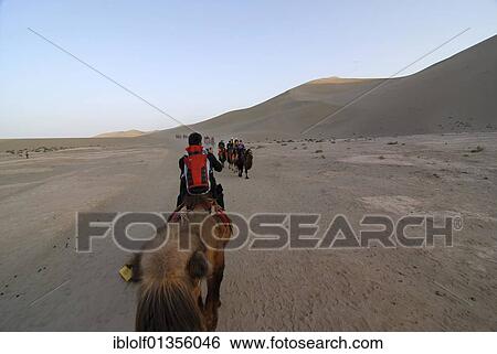 Stock Photograph - Camel caravan with tourists in front of the sand dunes of the Gobi Desert and Mount Mingshan at Dunhuang, Silk Road, Gansu, China, Asia. Fotosearch