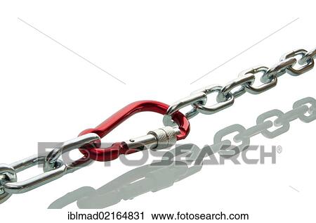 Carabiner between two stretched chains, symbolic image of cohesion, team and strong connections View Large Photo Image Stock Image - Carabiner between two stretched chains, symbolic image of cohesion, team and strong connections. Fotosearch