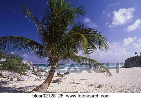 Stock Photograph - Caribbean beach of Boca Paila, Quintana Roo, Yucatan Peninsula, Mexico, North America. Fotosearch