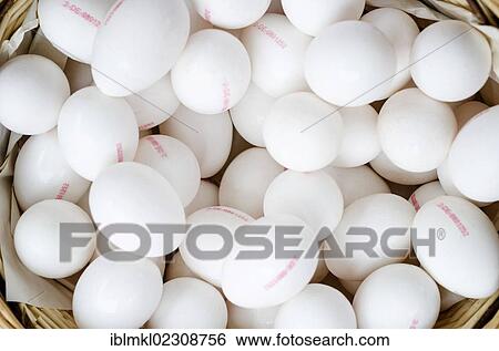 Stock Photograph - Chicken eggs in a basket, Germany, Europe. Fotosearch