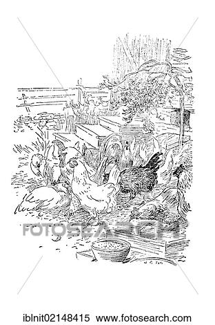 Chickens, illustration in The House in the Sun by Carl Larsson, 1917 View Large Photo Image Stock Photography - Chickens, illustration in The House in the Sun by Carl Larsson, 1917. Fotosearch
