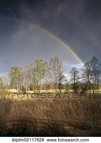 Chiemgau landscape with rainbow, Upper Bavaria, Germany, Europe View Large Photo Image Stock Photo - Chiemgau landscape with rainbow, Upper Bavaria, Germany, Europe. Fotosearch