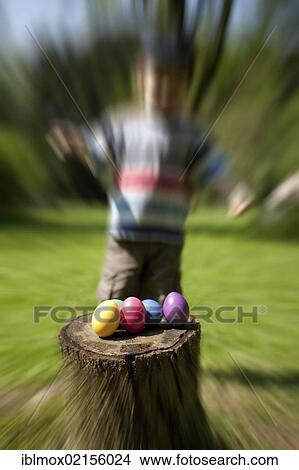 Child, about 4 years, searching for Easter eggs, Hesse, Germany, Europe View Large Photo Image Picture - Child, about 4 years, searching for Easter eggs, Hesse, Germany, Europe. Fotosearch