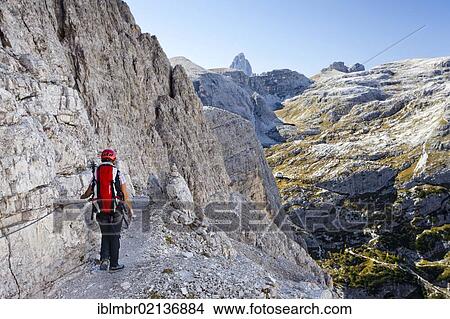 Picture - Climber on the Alpinisteig climbing route, looking towards the Three Peaks, Sesto, Alta Pusteria, Dolomites, Alto Adige, Italy, Europe. Fotosearch