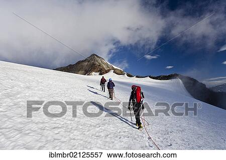 Stock Photo - Climbers during the ascent from the Mueller Hut to the Wilder Pfaff and Zuckerhuetl Mountains, looking towards Wilde Pfaff Mountain, Passeiertal Valley above the Timmelsjoch Pass Road, Alto Adige, Italy, Europe. Fotosearch