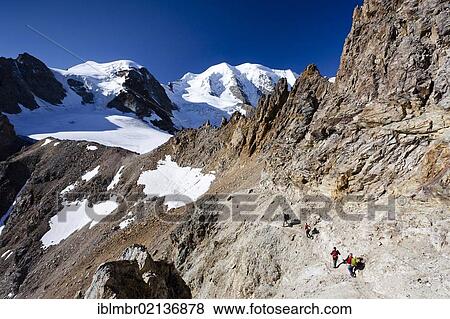 Climbers during the ascent to Piz Palue Mountain, with Piz Palue Mountain at the rear and Piz Cambrena Mountain on the right, Grisons, Switzerland, Europe View Large Photo Image Stock Photo - Climbers during the ascent to Piz Palue Mountain, with Piz Palue Mountain at the rear and Piz Cambrena Mountain on the right, Grisons, Switzerland, Europe. Fotosearch