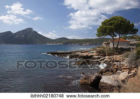 Stock Photo - Coast, Sant Elm, southwest coast, Majorca, Balearic Islands, Spain, Europe. Fotosearch