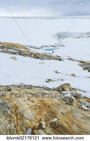 Stock Image - Coloured rock structures, hiker at Mittivakkat Glacier, Peninsula Ammassalik, East Greenland, Greenland, North America. Fotosearch