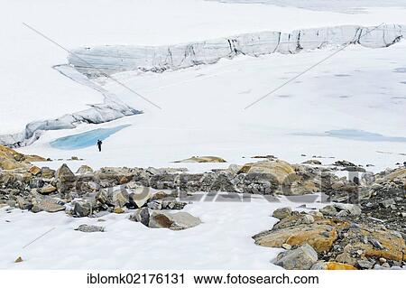 Stock Image - Coloured rock structures, hiker at Mittivakkat Glacier, Peninsula Ammassalik, East Greenland, Greenland, North America. Fotosearch