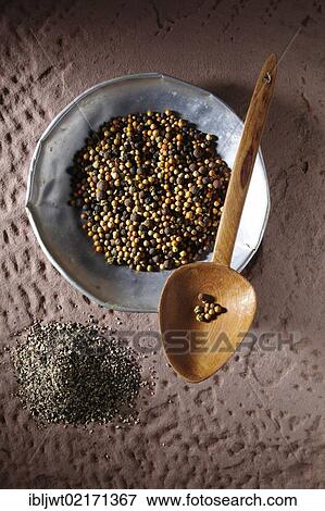 Colourful peppercorns (Piper nigrum) on a metal plate with a wooden spoon and coarsely ground pepper on a rustic stone base View Large Photo Image Stock Photo - Colourful peppercorns (Piper nigrum) on a metal plate with a wooden spoon and coarsely ground pepper on a rustic stone base. Fotosearch