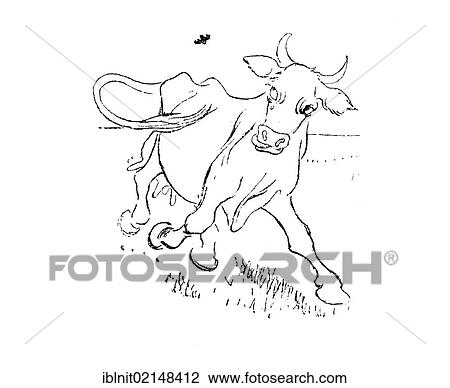 Cow with a fly, illustration in The House in the Sun by Carl Larsson, 1917 View Large Photo Image Stock Image - Cow with a fly, illustration in The House in the Sun by Carl Larsson, 1917. Fotosearch