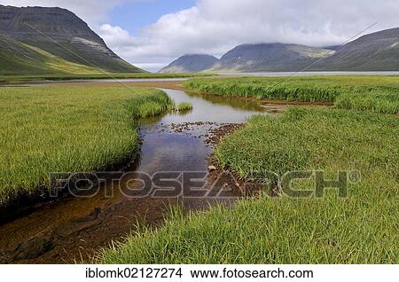 Creek, Fljótavík bay, Hornstrandir, Westfjords, Iceland, Europe View Large Photo Image Picture - Creek, Fljótavík bay, Hornstrandir, Westfjords, Iceland, Europe. Fotosearch