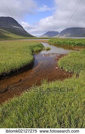 Creek, Fljótavík bay, Hornstrandir, Westfjords, Iceland, Europe View Large Photo Image Stock Photography - Creek, Fljótavík bay, Hornstrandir, Westfjords, Iceland, Europe. Fotosearch
