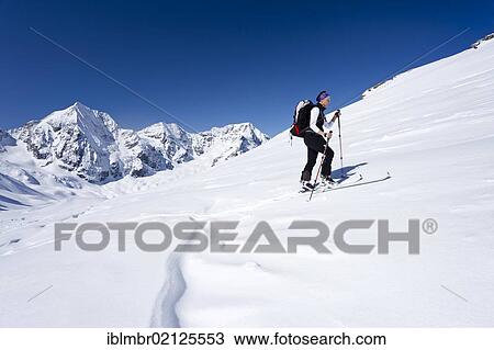 Cross-country skier ascending Schoentaufspitze Mountain, looking towards Koenigsspitze, Ortler and Zebru Mountains, Solda, Alto Adige, Italy, Europe View Large Photo Image Stock Image - Cross-country skier ascending Schoentaufspitze Mountain, looking towards Koenigsspitze, Ortler and Zebru Mountains, Solda, Alto Adige, Italy, Europe. Fotosearch