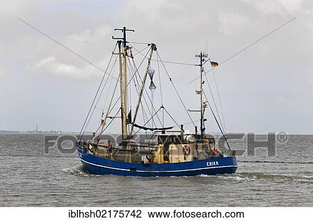 Stock Image - Cutter "Erika", NOR 208, boat leaving the port of Norddeich, Island of Norderney on the horizon, Wadden Sea, UNESCO World Heritage Site, East Frisia, Lower Saxony, Germany, Europe. Fotosearch