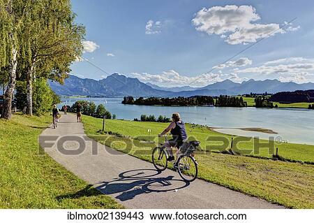 Cyclist on Lake Forggensee, Upper Bavaria, Bavaria, Germany, Europe, PublicGround, Europe View Large Photo Image Stock Image - Cyclist on Lake Forggensee, Upper Bavaria, Bavaria, Germany, Europe, PublicGround, Europe. Fotosearch