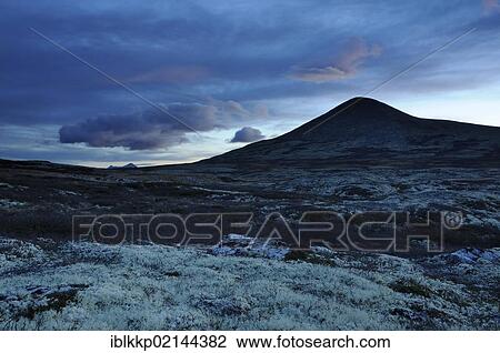 Dawn, fjell landscape in autumn, Ringebufjellet, Norway, Europe View Large Photo Image Stock Image - Dawn, fjell landscape in autumn, Ringebufjellet, Norway, Europe. Fotosearch