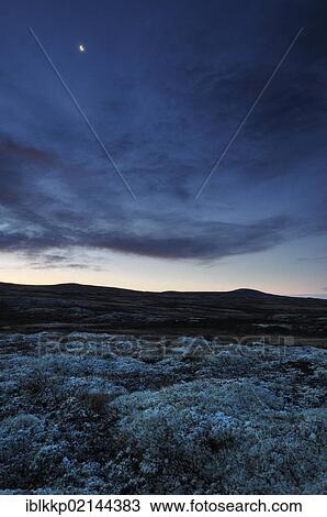 Dawn, fjell landscape in autumn, Ringebufjellet, Norway, Europe View Large Photo Image Stock Image - Dawn, fjell landscape in autumn, Ringebufjellet, Norway, Europe. Fotosearch