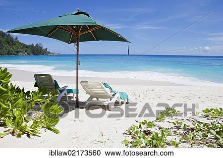 Deck chairs and sun loungers on the beach, Anse Intendance, Mahe, Seychelles, Africa, Indian Ocean, Africa View Large Photo Image Stock Image - Deck chairs and sun loungers on the beach, Anse Intendance, Mahe, Seychelles, Africa, Indian Ocean, Africa. Fotosearch