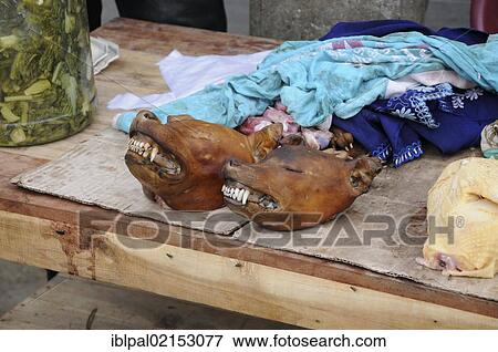 Dog heads, business, Van Long, Vietnam, Southeast Asia, Asia View Large Photo Image Stock Photo - Dog heads, business, Van Long, Vietnam, Southeast Asia, Asia. Fotosearch