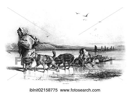 Dogsled of the Mandan Indians, illustration from Travels in the Interior of North America, 1832-1834, by Prince Maximilian of Wied, illustrations by Carl Bodmer, Koblenz, 1839 View Large Photo Image Stock Photography - Dogsled of the Mandan Indians, illustration from Travels in the Interior of North America, 1832-1834, by Prince Maximilian of Wied, illustrations by Carl Bodmer, Koblenz, 1839. Fotosearch