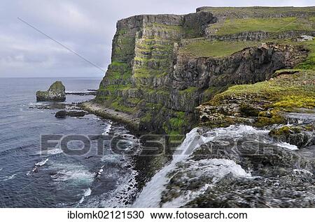 Drifandi waterfall, Drifandisbjarg, east coast of Hornstrandir, Westfjords, Iceland, Europe View Large Photo Image Stock Image - Drifandi waterfall, Drifandisbjarg, east coast of Hornstrandir, Westfjords, Iceland, Europe. Fotosearch