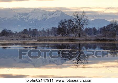 Early morning at lake Chiemsee, Chiemgau, Upper Bavaria, Germany, Europe View Large Photo Image Stock Image - Early morning at lake Chiemsee, Chiemgau, Upper Bavaria, Germany, Europe. Fotosearch