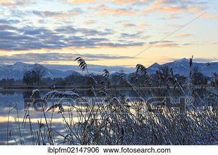 Early morning at lake Chiemsee, Chiemgau, Upper Bavaria, Germany, Europe View Large Photo Image Stock Photograph - Early morning at lake Chiemsee, Chiemgau, Upper Bavaria, Germany, Europe. Fotosearch