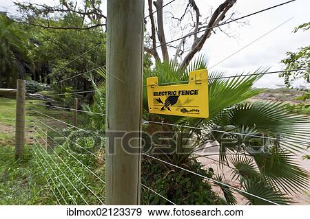 Electric fence to keep out wild animals, Sarova Shaba Lodge, Shaba National Reserve, Kenya, East Africa, Africa View Large Photo Image Stock Photo - Electric fence to keep out wild animals, Sarova Shaba Lodge, Shaba National Reserve, Kenya, East Africa, Africa. Fotosearch