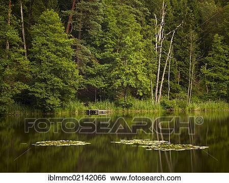 Emersacker Eisweiher lake with water lilies, Bavaria, Germany, Europe View Large Photo Image Stock Photograph - Emersacker Eisweiher lake with water lilies, Bavaria, Germany, Europe. Fotosearch