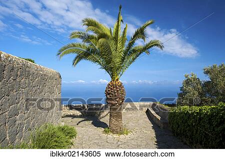 Eremita de Santissima Trinitat with palm tree, near Valldemossa, Valdemosa, Majorca, Balearic Islands, Spain, Europe View Large Photo Image Stock Photography - Eremita de Santissima Trinitat with palm tree, near Valldemossa, Valdemosa, Majorca, Balearic Islands, Spain, Europe. Fotosearch