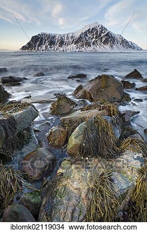 Picture - Evening mood at Skagsanden, beach near Flakstad, Flakstadsøya, Lofoten Islands, Nordland, Norway, Europe. Fotosearch
