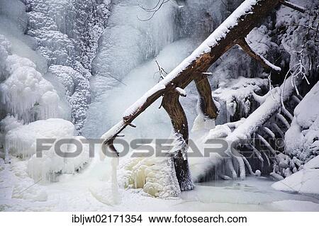 Falkau waterfall, completely frozen, Falkau, Mt Feldberg, Black Forest, Baden-Wuerttemberg, Germany, Europe View Large Photo Image Picture - Falkau waterfall, completely frozen, Falkau, Mt Feldberg, Black Forest, Baden-Wuerttemberg, Germany, Europe. Fotosearch